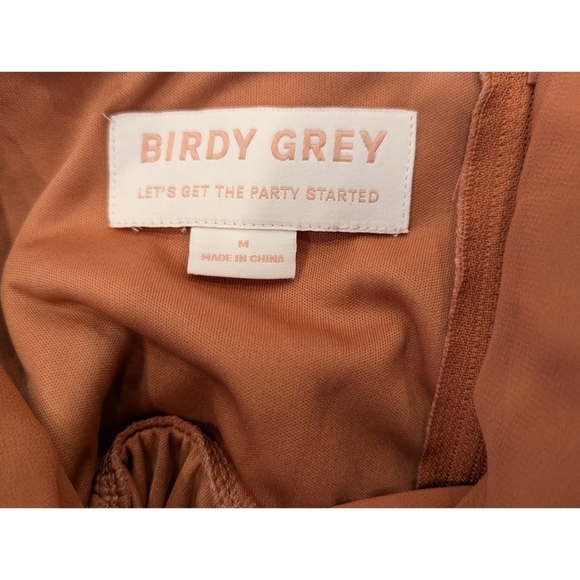 Birdy Grey Kaia Chiffon Dress in Desert Rose Size Medium - Picture 5 of 8